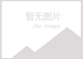 龙岩新罗夏青培训有限公司